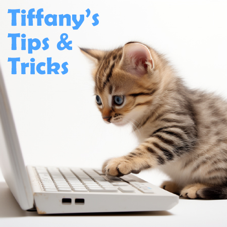Tiffany's Tips and Tricks